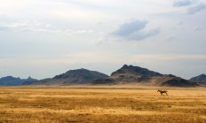 开云体育中国官网-赛道上的马刺战术，当西亚卡姆在F1街道赛接管比赛