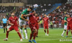 开云下载-乌克兰队成功战胜爱尔兰队，迎来一场精彩胜利