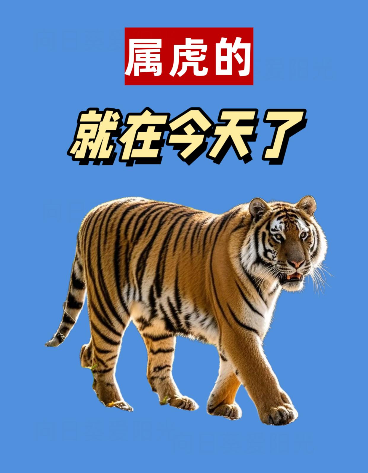 焕发全新活力，彪形大汉打破困境的简单介绍