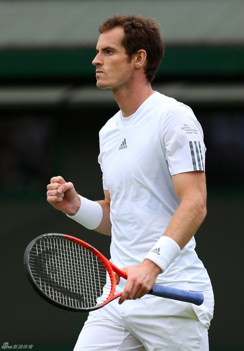 关于美国网球队力克欧洲网球队，穆雷高光表现的信息