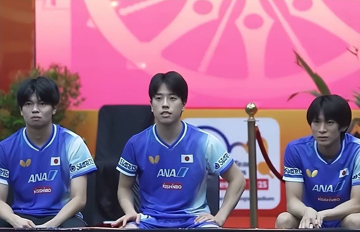 日本乒乓球队鏖战瑞典乒乓球队，王皓绝境逆转的简单介绍