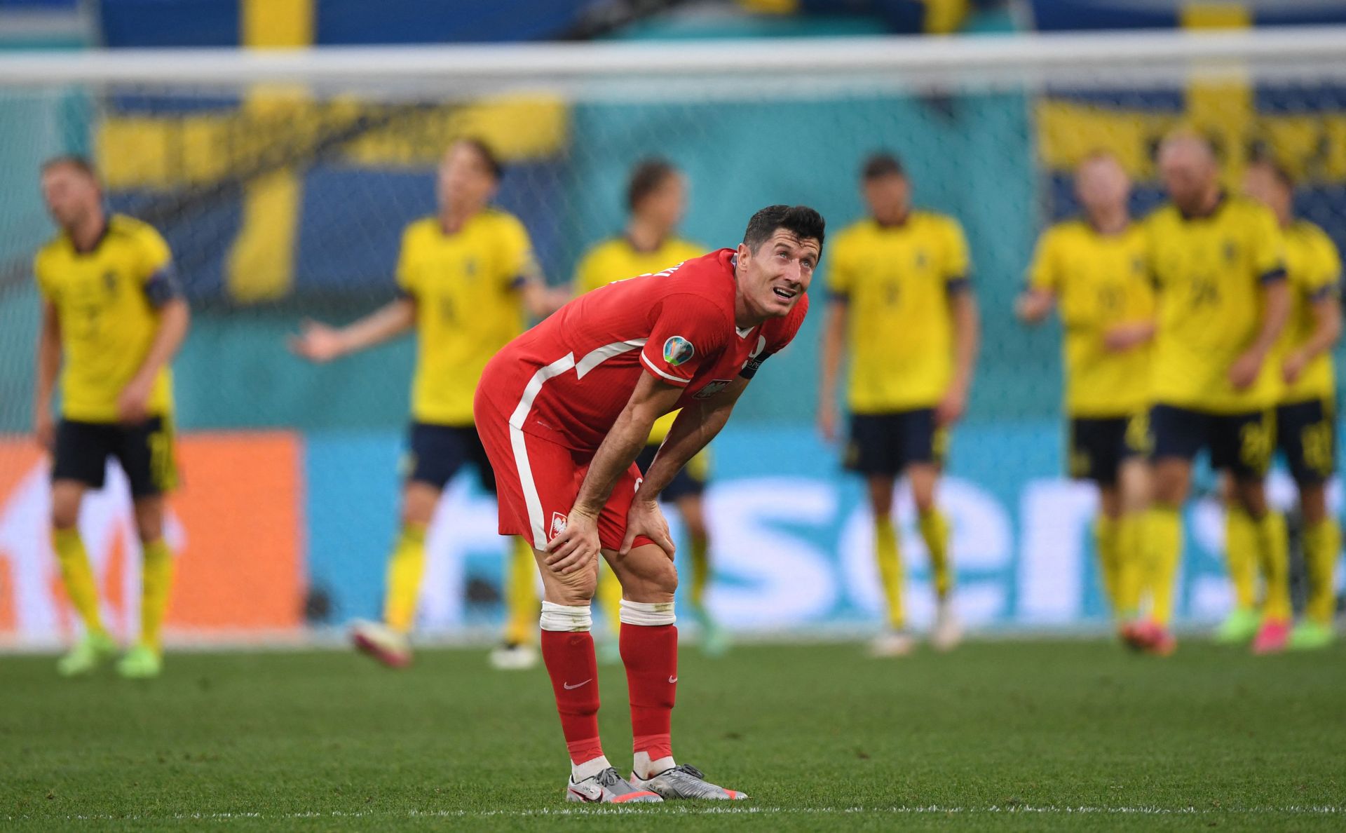 关于瑞典乒乓球队绝杀法国乒乓球队，波尔制霸全场的信息