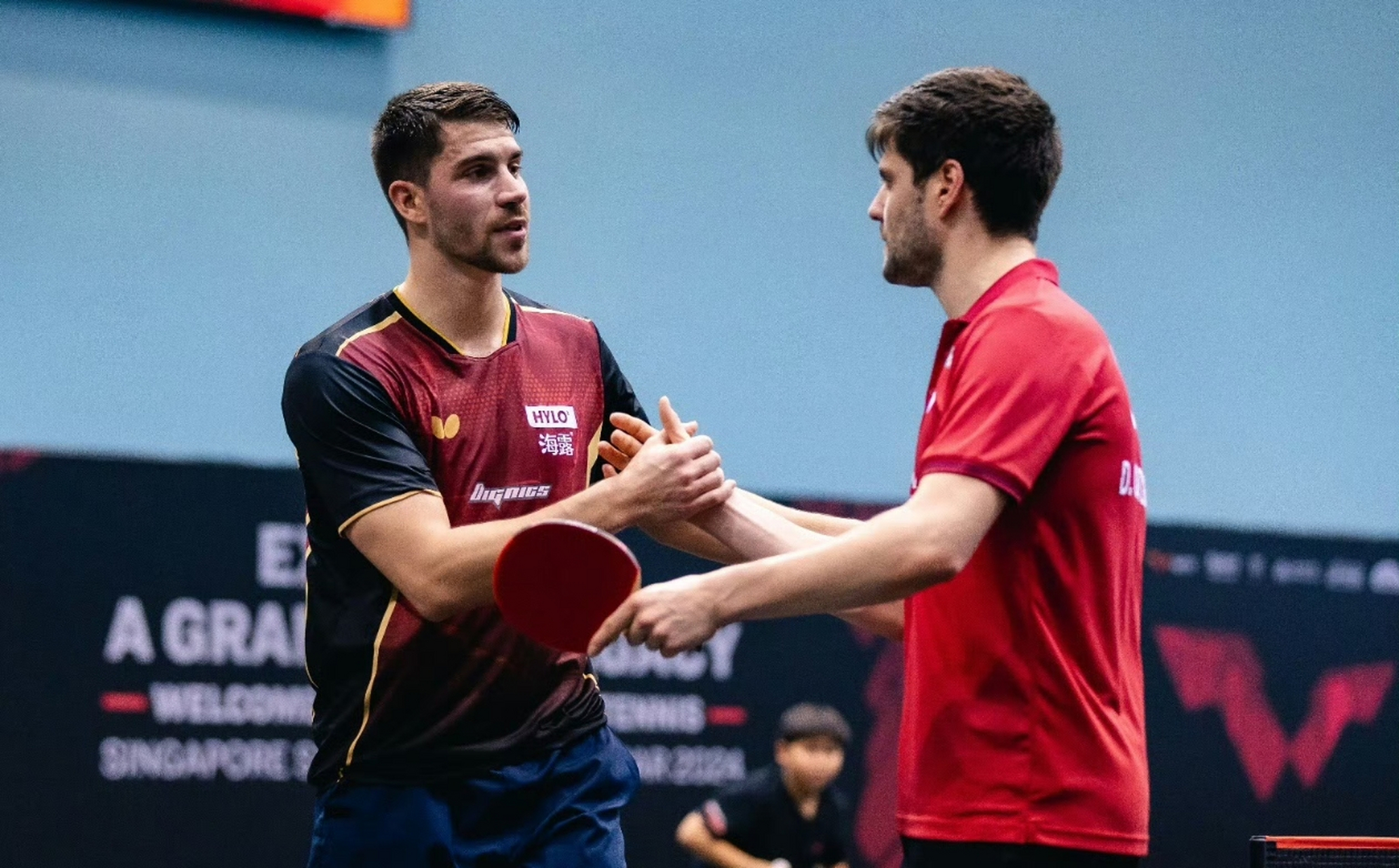 波兰乒乓球队横扫德国乒乓球队,奥恰洛夫高光表现的简单介绍 波兰乒乓球队横扫德国乒乓球队,奥恰洛夫高光表现的简单介绍