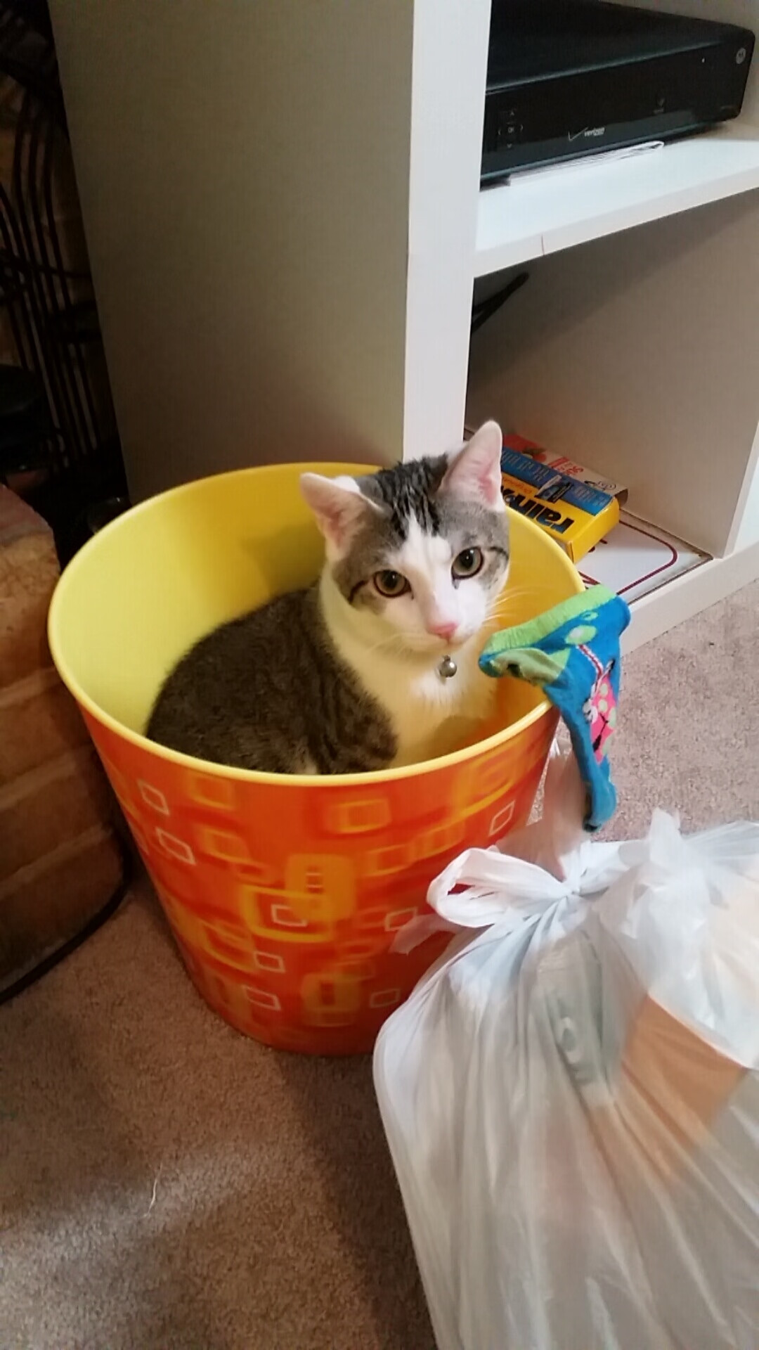 加维，从诺坎普到温布尔登，一位少年如何让马里收割英格兰成为现实