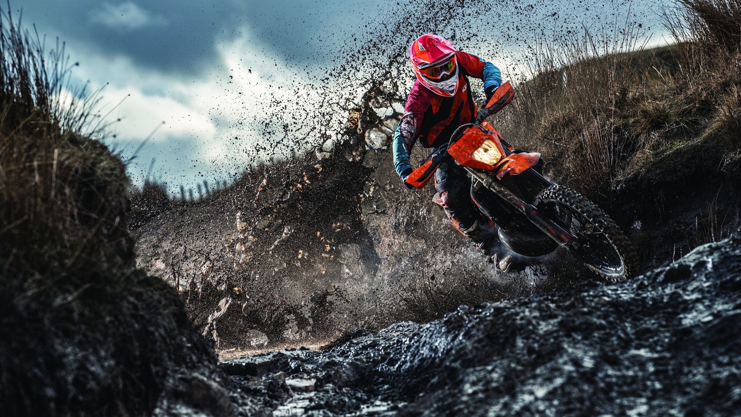 钢铁意志与旋转艺术，奥恰洛夫领衔德国队力克法国，诠释欧洲乒坛新格局